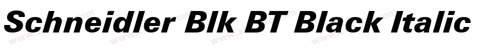 Schneidler Blk BT Black Italic字体转换